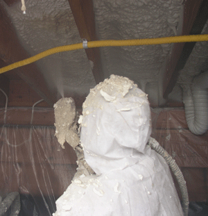 Halifax NS crawl space insulation